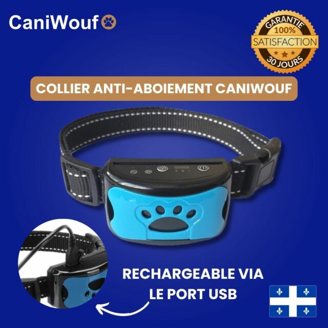 collier anti aboiement sans douleur et sans danger caniwouf