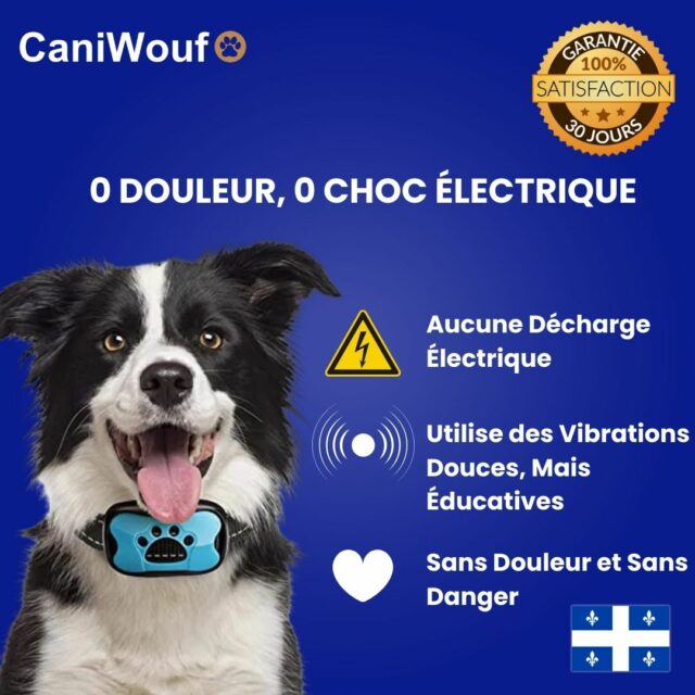 collier anti aboiement sans douleur et sans danger caniwouf dccq2
