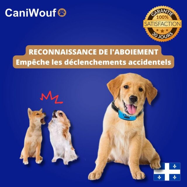collier anti aboiement sans douleur et sans danger caniwouf ydcys