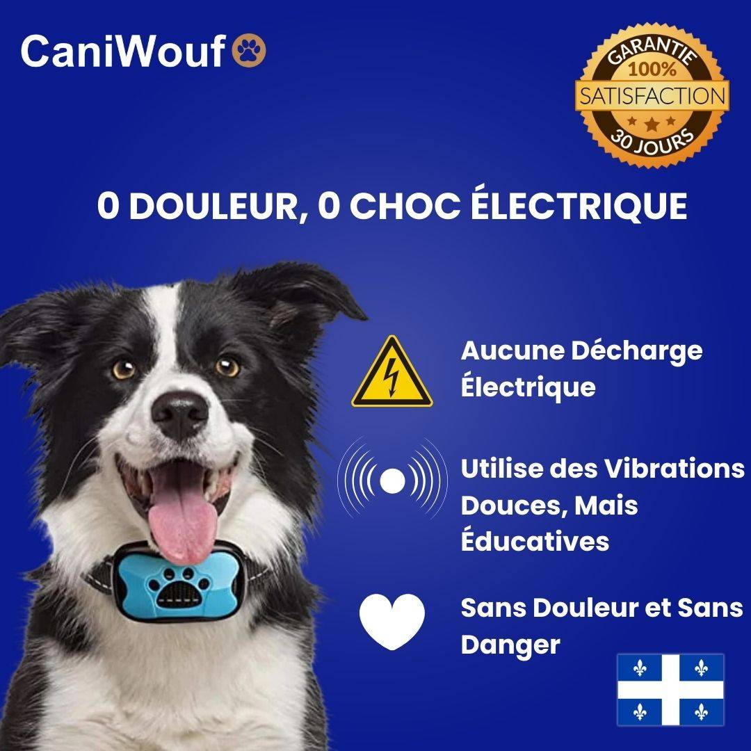Collier Anti-Aboiement Sans Douleur et Sans Danger - CaniWouf
