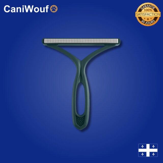 1 1eea60dd 9242 4ca6 ba7c addacc23ad8d