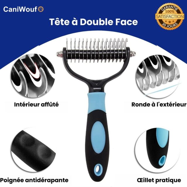 1 5cff1edd 7e8c 49ef 9641 94d23e02d095