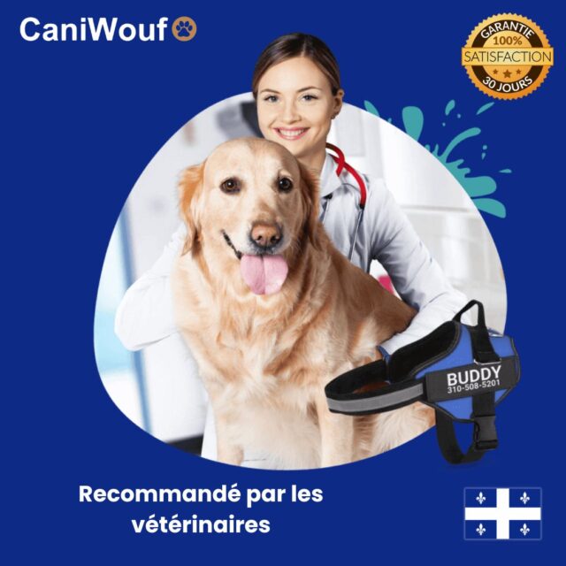 RECOMMANDATIONMEDECIN