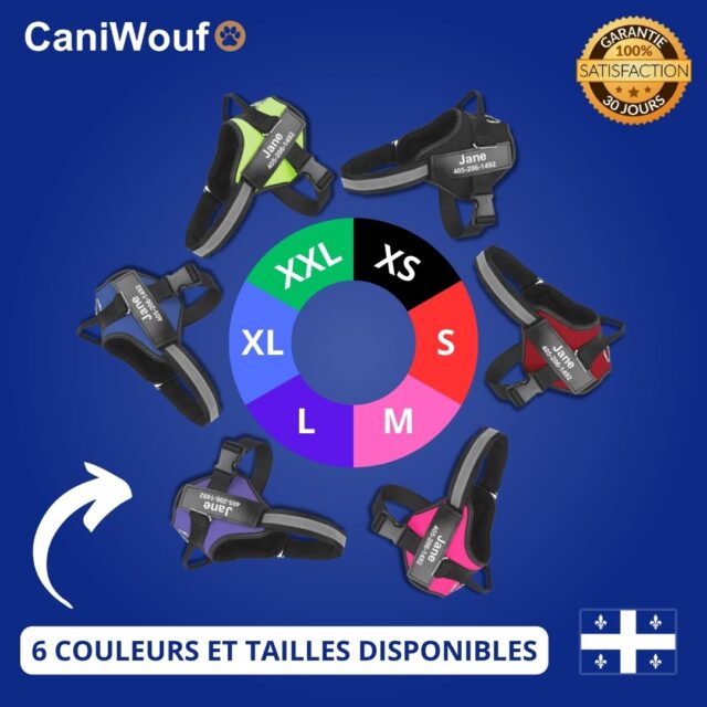 Touteslesvariantes