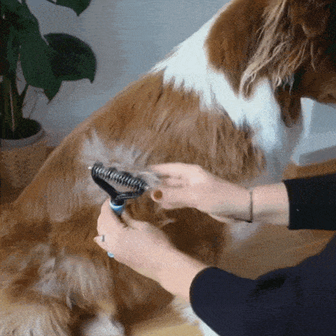 Caniwouf Supreme Groomer