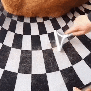 Dites adieu aux poils d'animaux - CaniWouf™ Brosse Pro