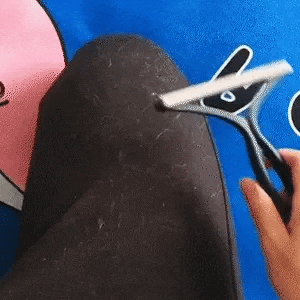 Dites adieu aux poils d'animaux - CaniWouf™ Brosse Pro