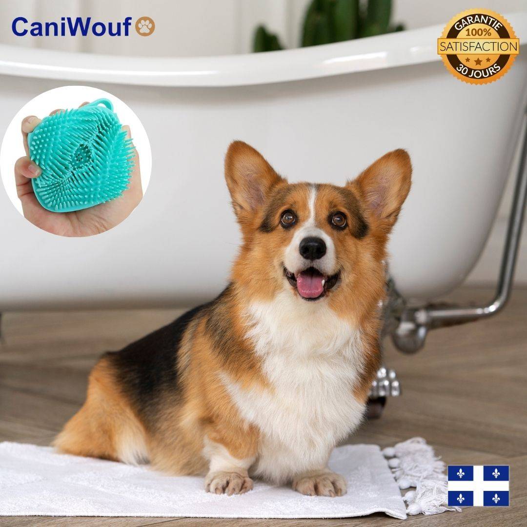 La Brosse de Bain Pour Chien Massante Caniwouf