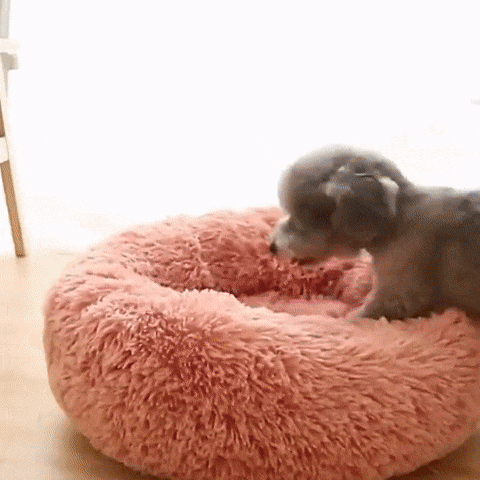 Lit Apaisant Deluxe Caniwouf - Pour Le Confort Suprême de Votre Chien