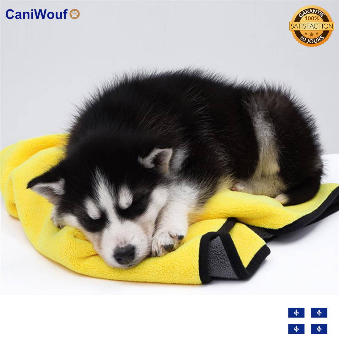 Super Absorbante Serviette Caniwouf - Pour Des Chiens Propres et Heureux
