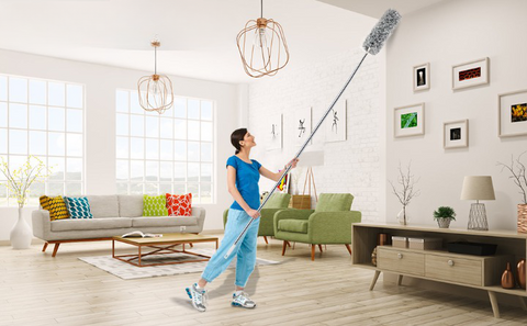 Brosse à plumeau extensible en microcarence