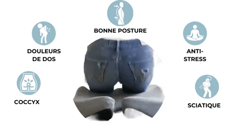 Coussin OrthopÃ©dique Cellsius Pour Soulager Les Douleurs Du Coccyx Et Lombaires