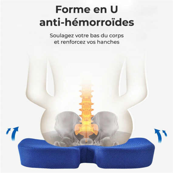 Coussin Orthopédique Cellsius Pour Soulager Les Douleurs Du Coccyx Et  Lombaires - CaniWouf