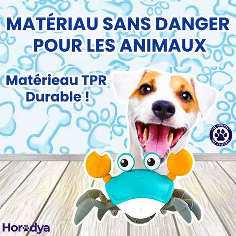 Craby - Jouet Interactif pour Chien