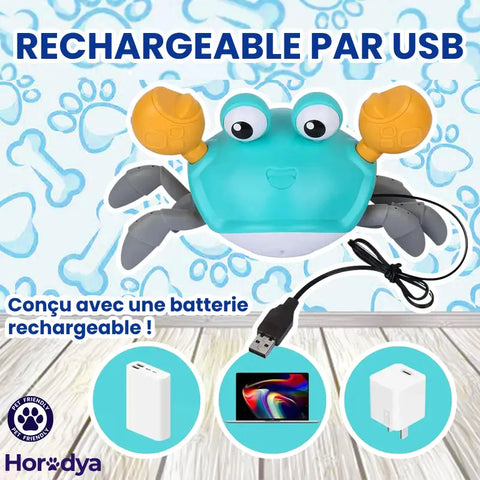 Craby - Jouet Interactif pour Chien