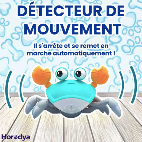 Craby - Jouet Interactif pour Chien