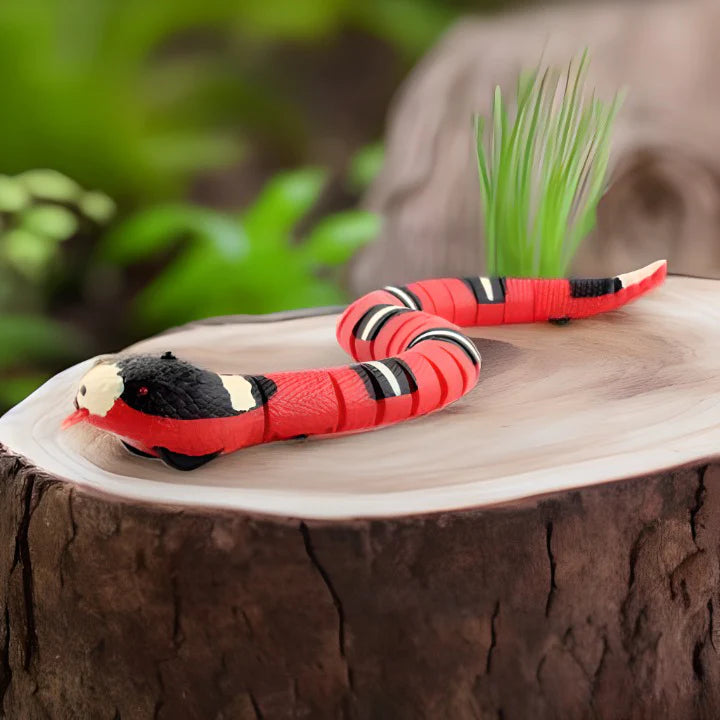 jouet serpent intelligent pour chat t6dm6