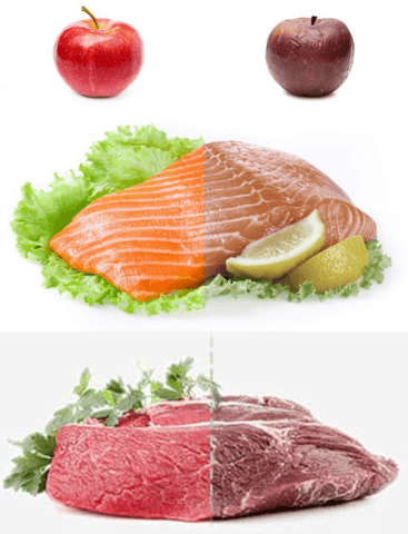 Scelleuse sous vide pour aliments | Pcolibri