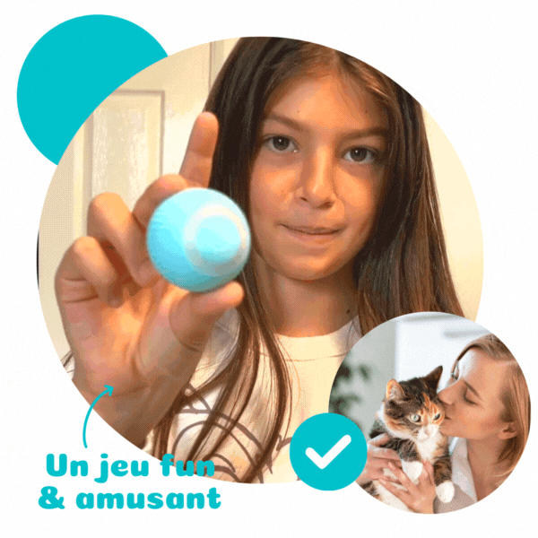 Balle interactive pour chat