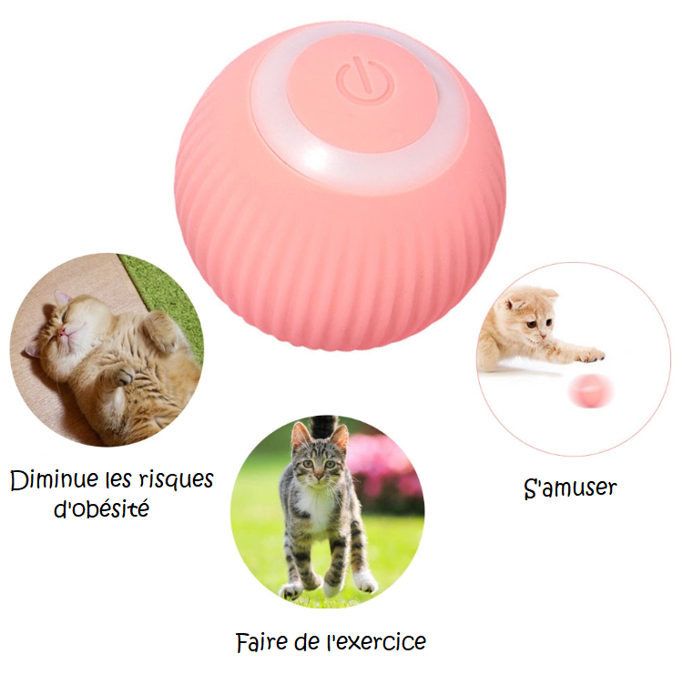 Balle interactive pour chat