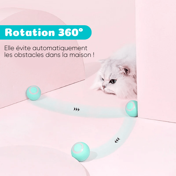 Balle interactive pour chat