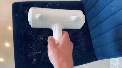 Brosse anti-poils