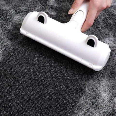 Brosse anti-poils