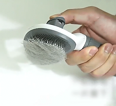 Brosse autonettoyante