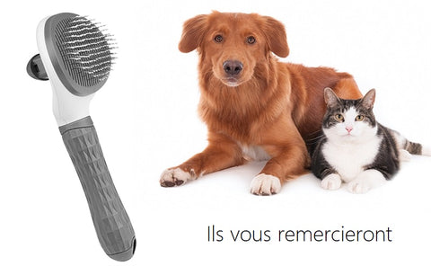 Brosse autonettoyante