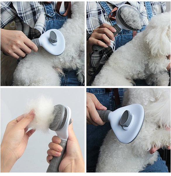 Brosse autonettoyante