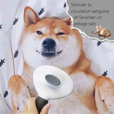 Brosse autonettoyante