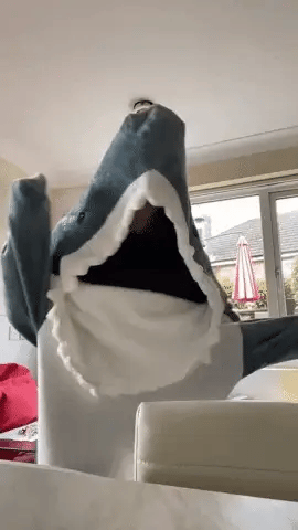 Vulani Shark Blanket