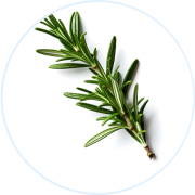 Patchs Anti-Douleur Naturels
