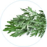 Patchs Anti-Douleur Naturels