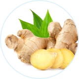 Patchs Anti-Douleur Naturels