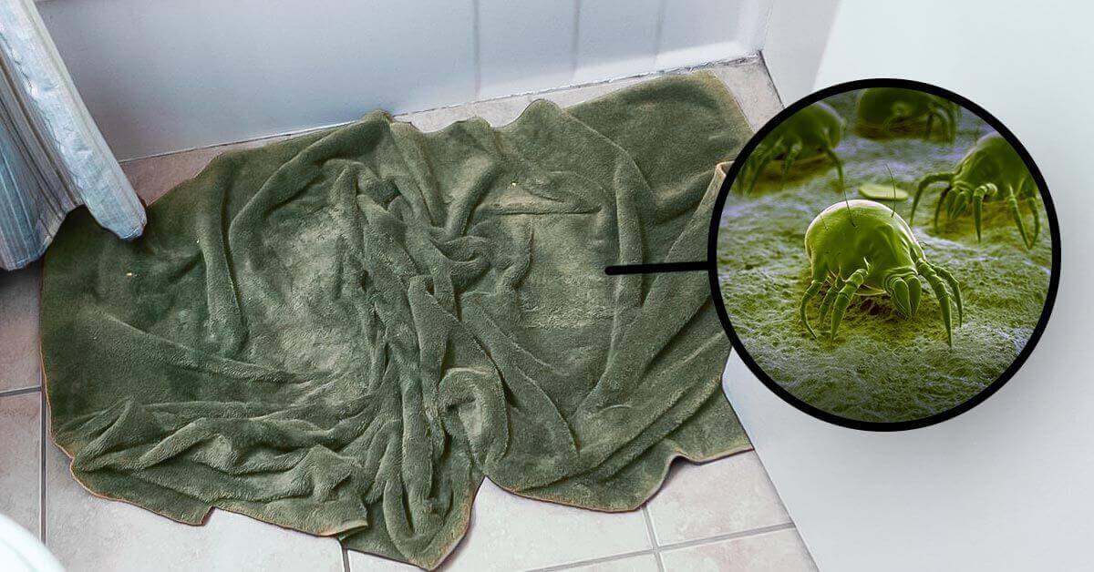 Silverthread Bath Towel