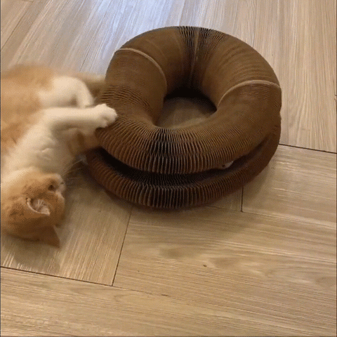 Planche d'orgue Ã  gratter pour chat magique