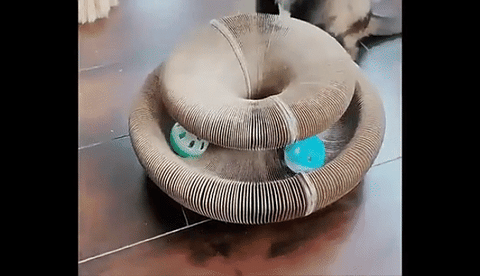 Planche d'orgue Ã  gratter pour chat magique