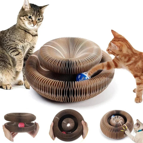 Planche d'orgue Ã  gratter pour chat magique