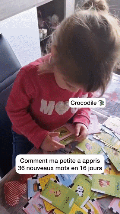 Cartes d'apprentissage