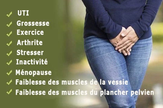 Everdries - Culotte de protection anti-fuite taille haute