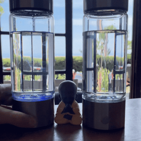 GOURDE WATERPURE | L'EAU INFUSÃ‰E Ã€ L'HYDROGÃˆNE