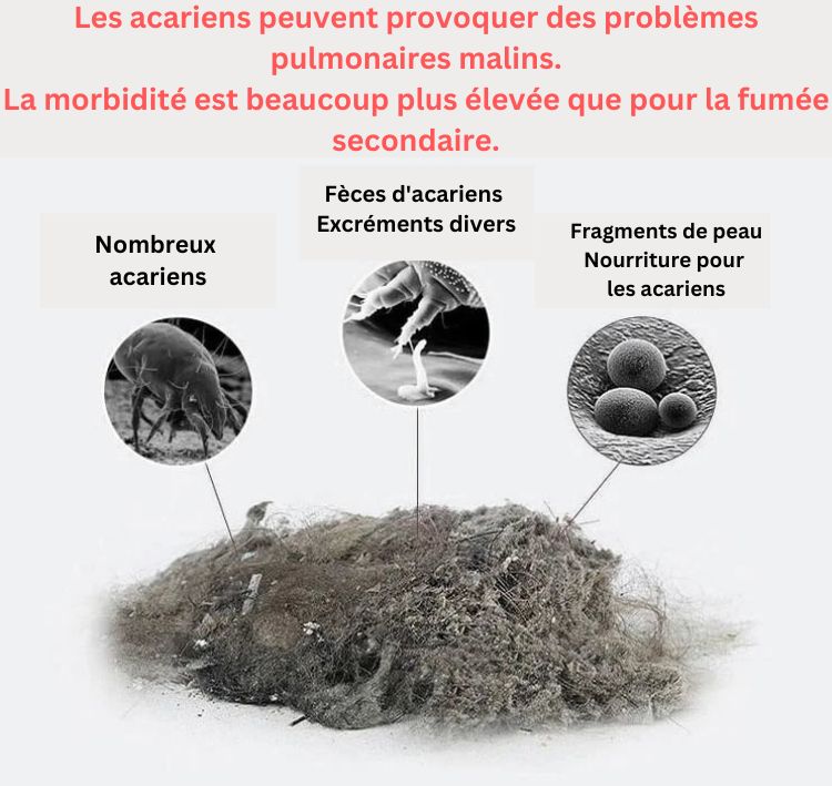Aspirateur Anti-Acariens Puissant Ultra Violet