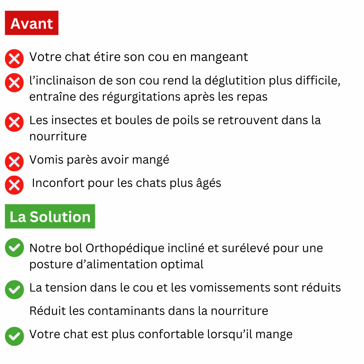 Bol Orthopédique Anti-Vomissement Pour Chat