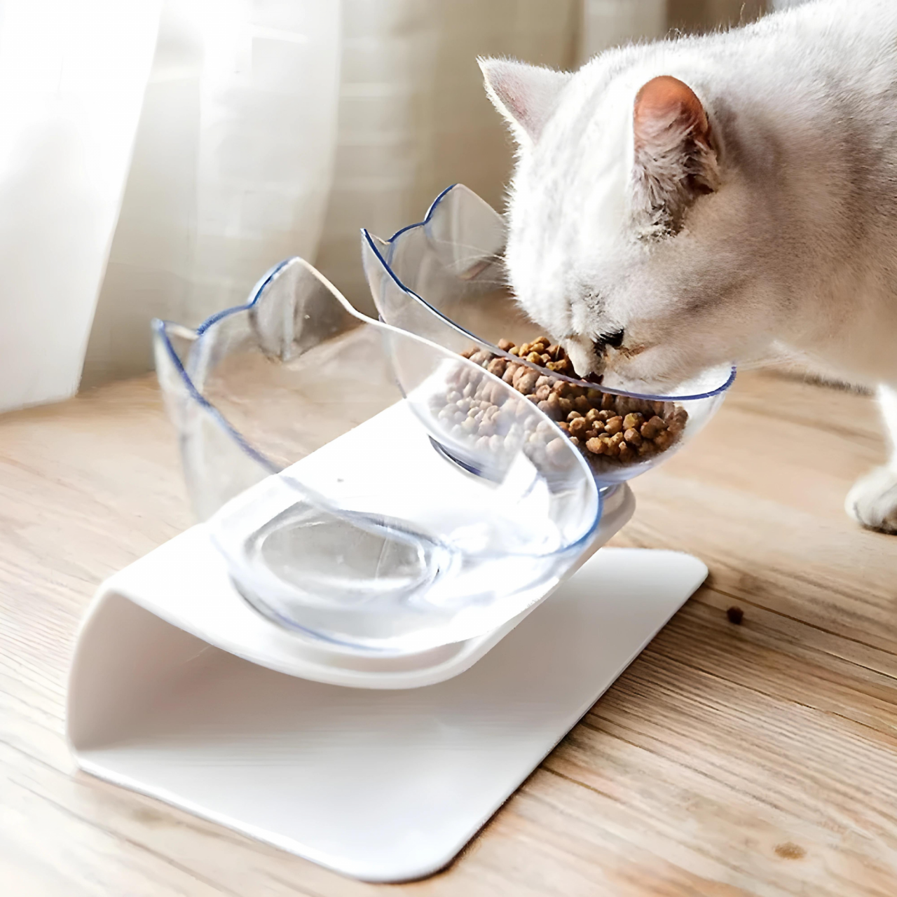 Bol Orthopédique Anti-Vomissement Pour Chat
