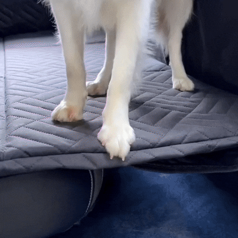 Housse de siège arrière pour chien | Dog-Auto™