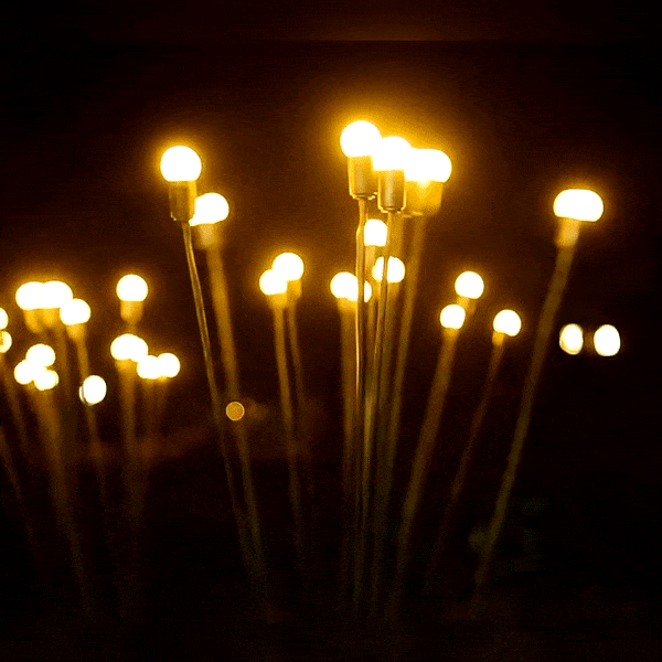 Lampes LED Lucioles à Énergie Solaire