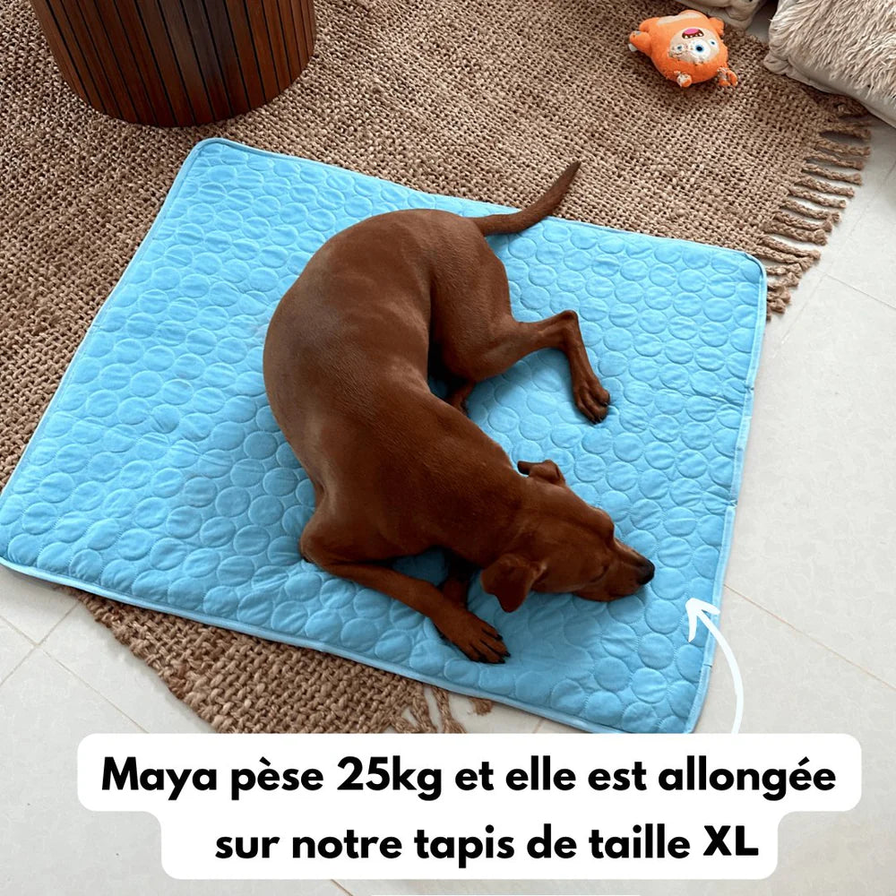 canicool tapis rafrachissant dpyzp